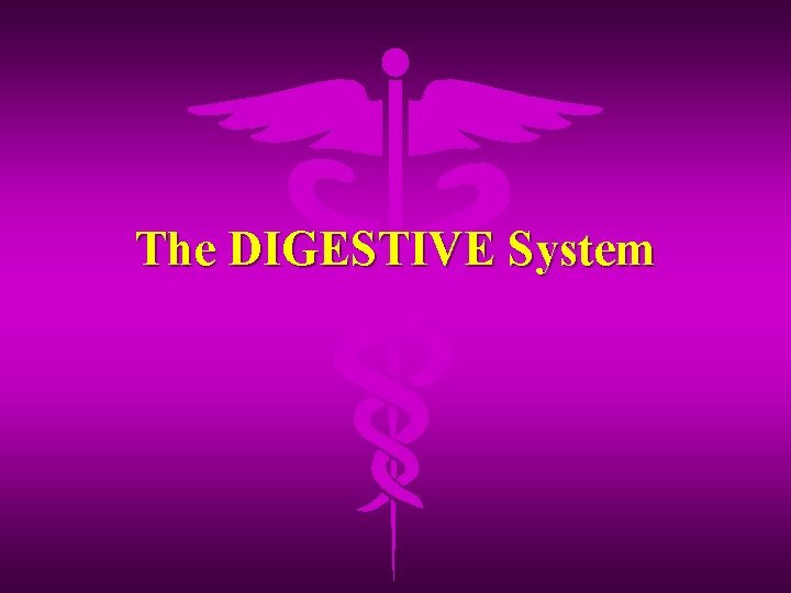 The DIGESTIVE System 