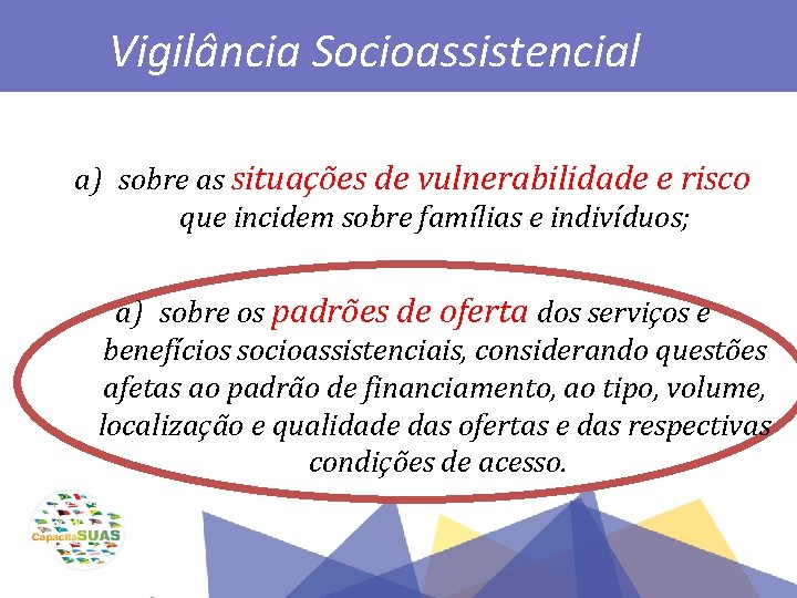 Vigilância Socioassistencial a) sobre as situações de vulnerabilidade e risco que incidem sobre famílias