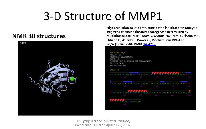 3 -D Structure of MMP 1 NMR 30 structures High-resolution structure of the inhibitor-free