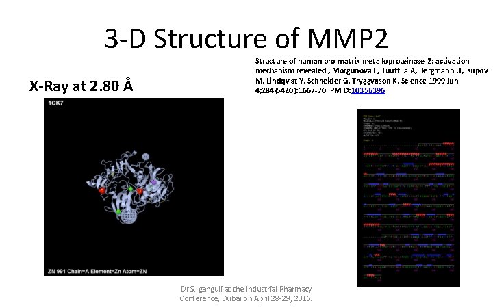 3 -D Structure of MMP 2 X-Ray at 2. 80 Å Structure of human