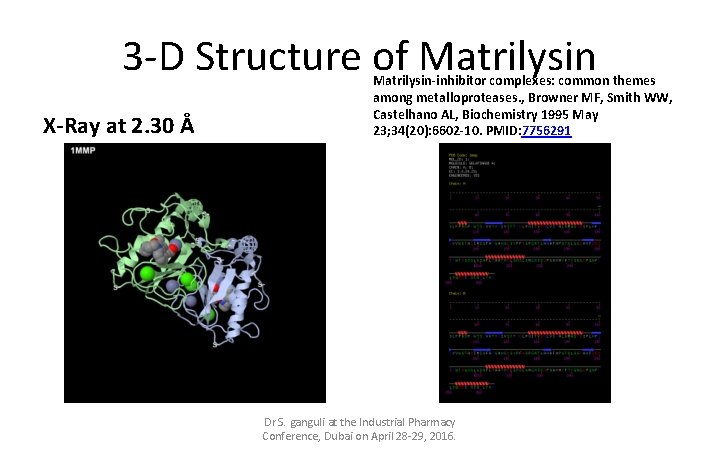 3 -D Structure of Matrilysin X-Ray at 2. 30 Å Matrilysin-inhibitor complexes: common themes