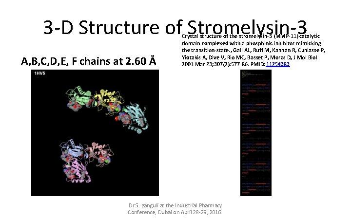 3 -D Structure of Stromelysin-3 A, B, C, D, E, F chains at 2.