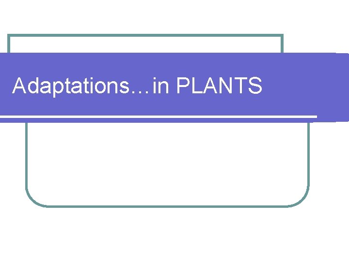 Adaptations…in PLANTS 