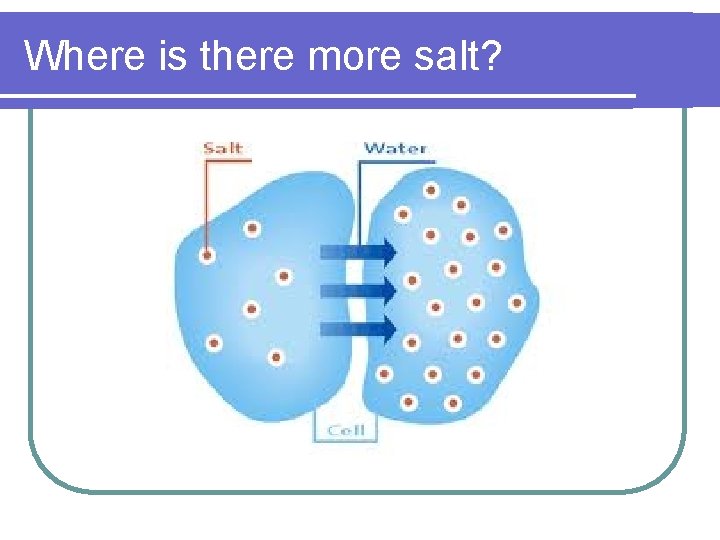 Where is there more salt? 