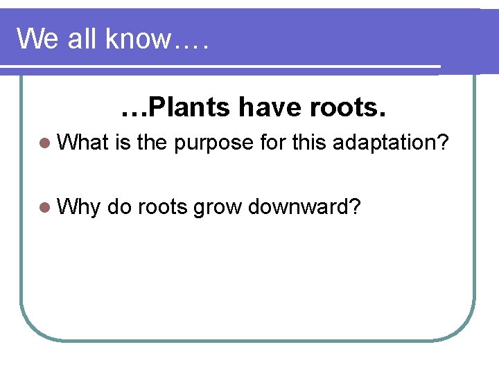 We all know…. …Plants have roots. l What l Why is the purpose for