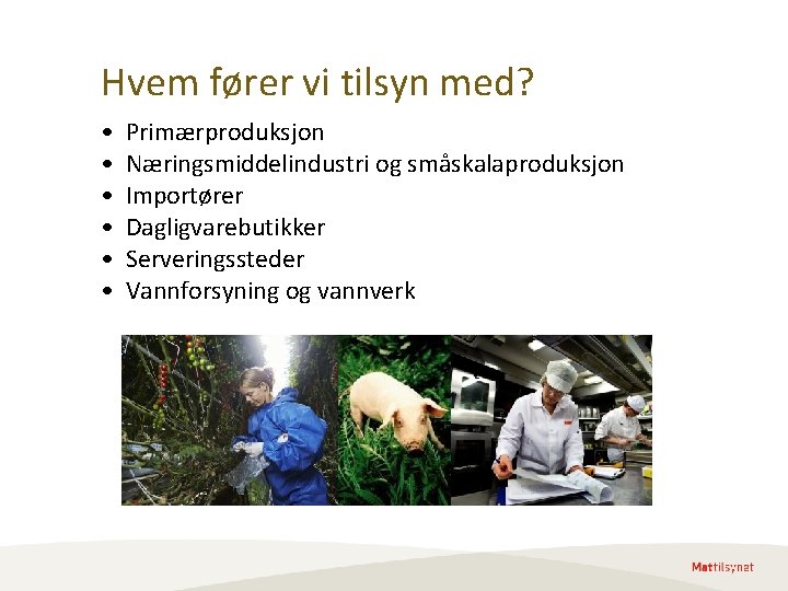 Hvem fører vi tilsyn med? • • • Primærproduksjon Næringsmiddelindustri og småskalaproduksjon Importører Dagligvarebutikker Hvem fører vi tilsyn med? • • • Primærproduksjon Næringsmiddelindustri og småskalaproduksjon Importører Dagligvarebutikker