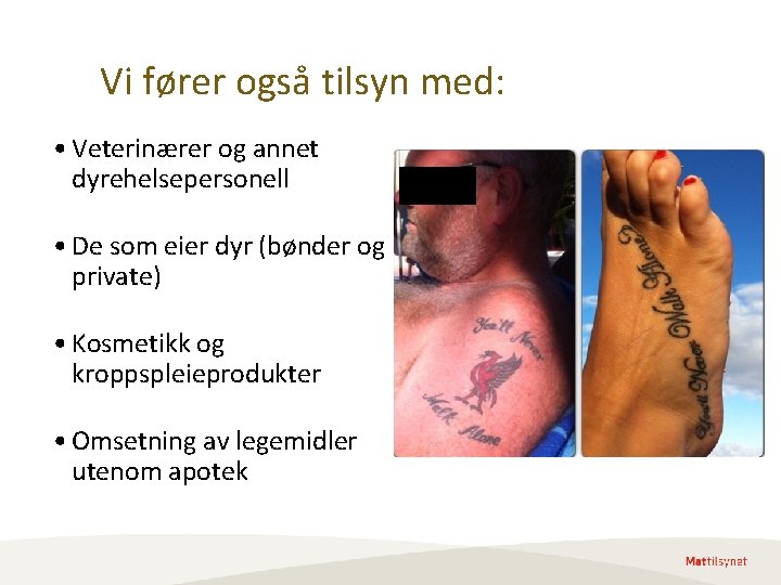 Vi fører også tilsyn med: • Veterinærer og annet dyrehelsepersonell • De som eier Vi fører også tilsyn med: • Veterinærer og annet dyrehelsepersonell • De som eier