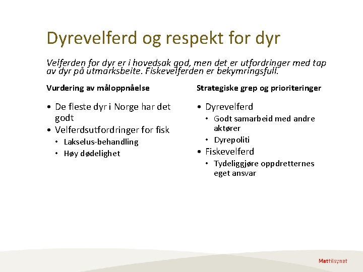Dyrevelferd og respekt for dyr Velferden for dyr er i hovedsak god, men det Dyrevelferd og respekt for dyr Velferden for dyr er i hovedsak god, men det