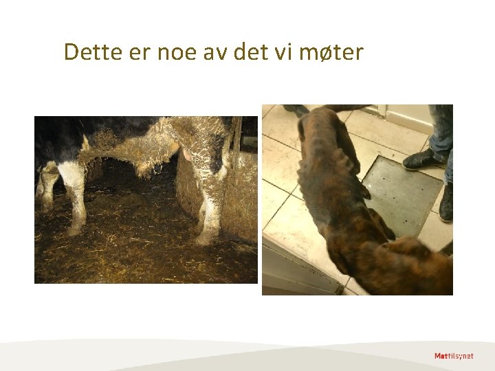 Dette er noe av det vi møter Dette er noe av det vi møter