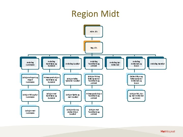 Region Midt Adm. dir. Reg. dir. Avdeling Sunnmøre Avdeling Nordmøre og Romsdal Avdeling Gauldal Region Midt Adm. dir. Reg. dir. Avdeling Sunnmøre Avdeling Nordmøre og Romsdal Avdeling Gauldal