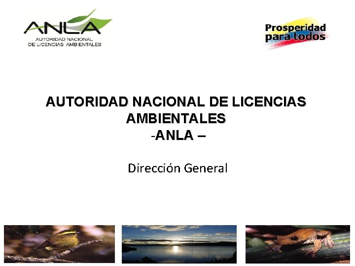 AUTORIDAD NACIONAL DE LICENCIAS AMBIENTALES -ANLA – Dirección General 