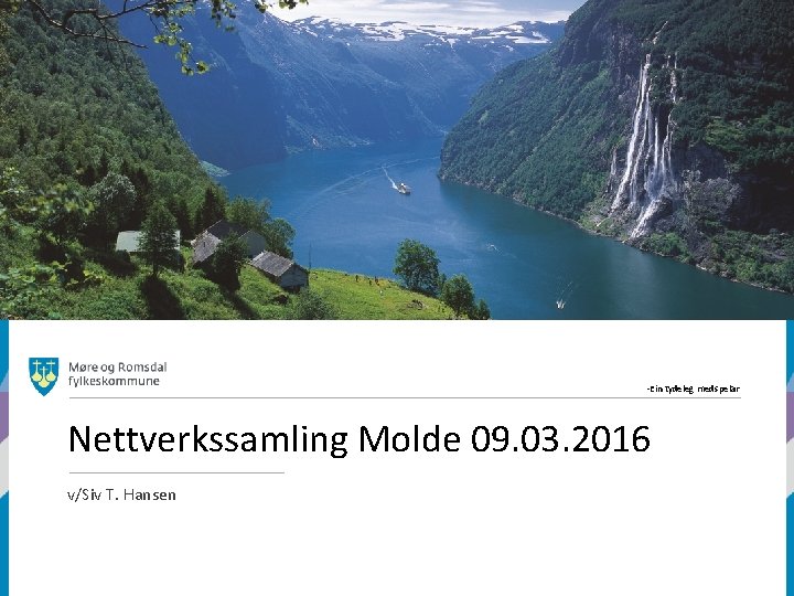 -Ein tydeleg medspelar Nettverkssamling Molde 09. 03. 2016 v/Siv T. Hansen 