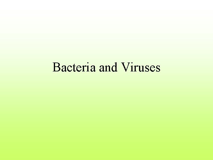 Bacteria and Viruses 