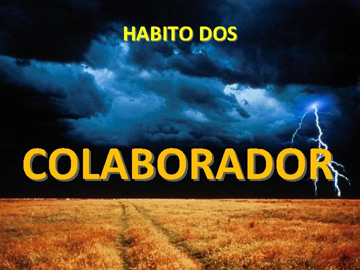 HABITO DOS COLABORADOR 