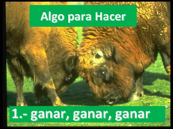 Algo para Hacer 1. - ganar, ganar 