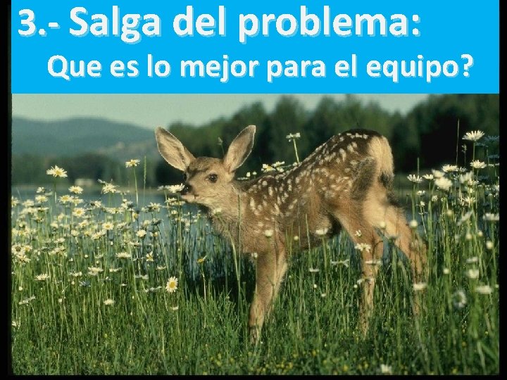 3. - Salga del problema: Que es lo mejor para el equipo? 