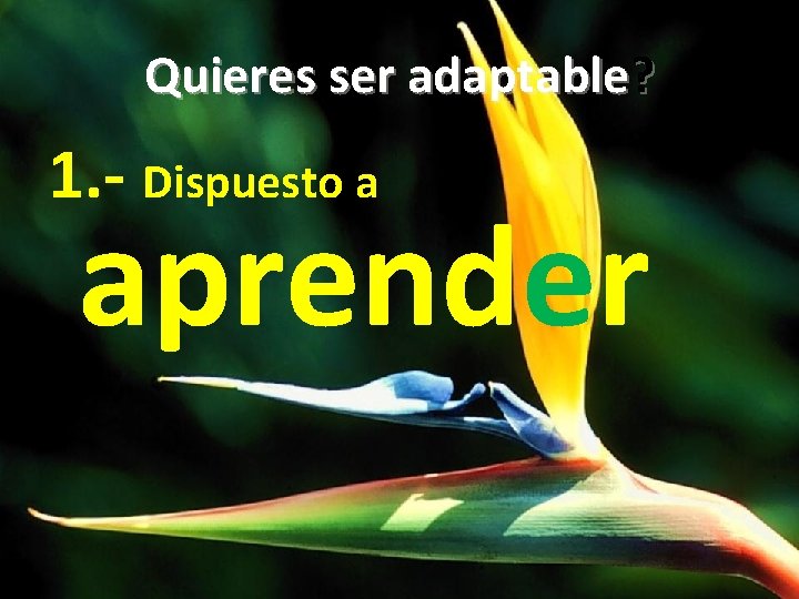 Quieres ser adaptable? 1. - Dispuesto a aprender 