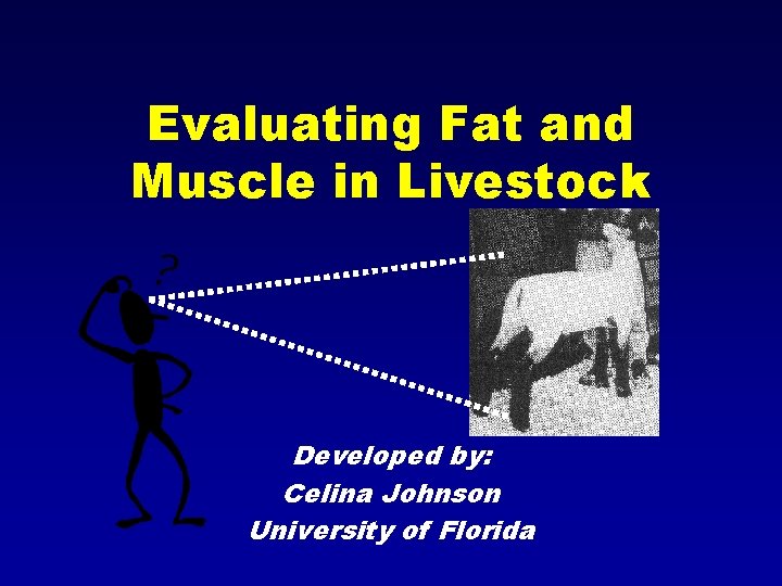 Evaluating Fat and Muscle in Livestock Developed by: Celina Johnson University of Florida 