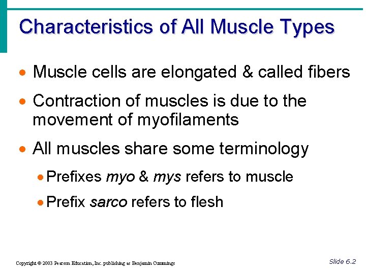 Characteristics of All Muscle Types · Muscle cells are elongated & called fibers ·