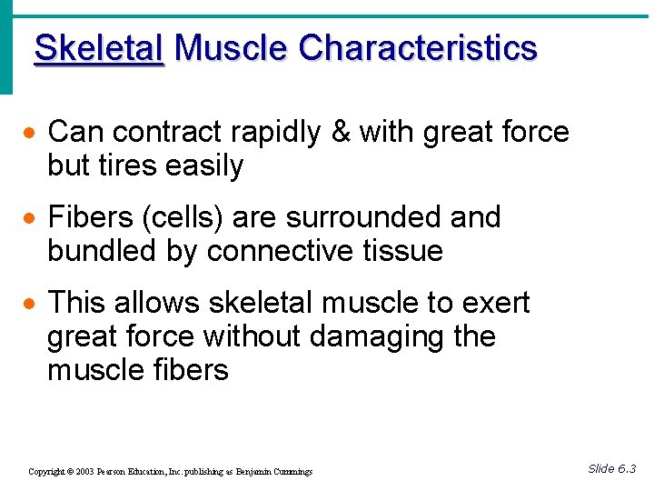 Skeletal Muscle Characteristics · Can contract rapidly & with great force but tires easily