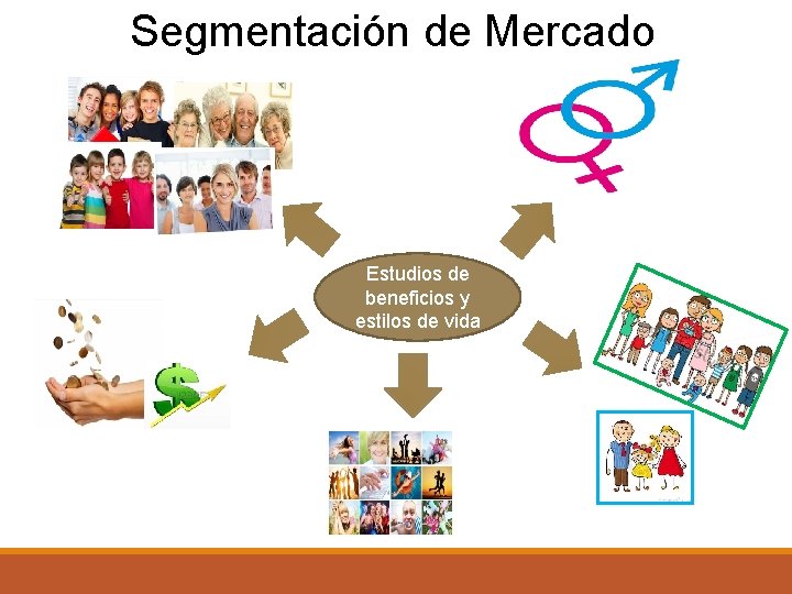 Segmentación de Mercado Estudios de beneficios y estilos de vida 