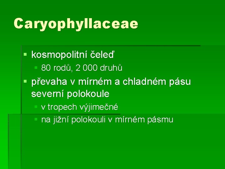 Caryophyllaceae § kosmopolitní čeleď § 80 rodů, 2 000 druhů § převaha v mírném