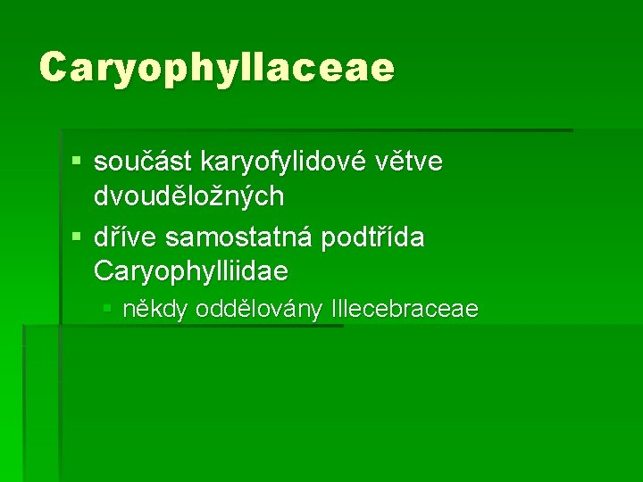 Caryophyllaceae § součást karyofylidové větve dvouděložných § dříve samostatná podtřída Caryophylliidae § někdy oddělovány