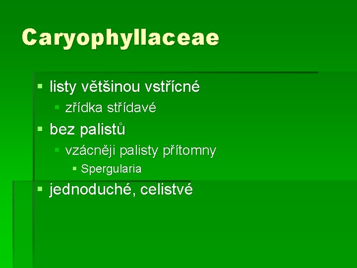 Caryophyllaceae § listy většinou vstřícné § zřídka střídavé § bez palistů § vzácněji palisty