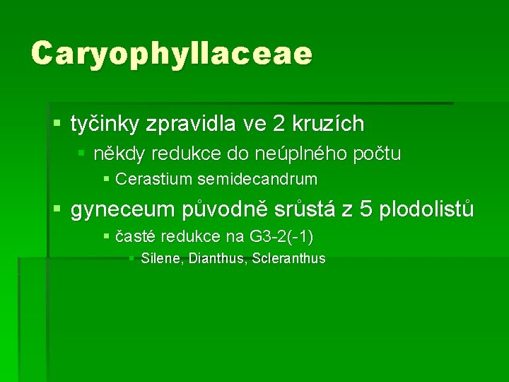 Caryophyllaceae § tyčinky zpravidla ve 2 kruzích § někdy redukce do neúplného počtu §