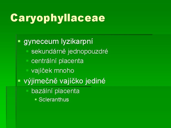 Caryophyllaceae § gyneceum lyzikarpní § sekundárně jednopouzdré § centrální placenta § vajíček mnoho §