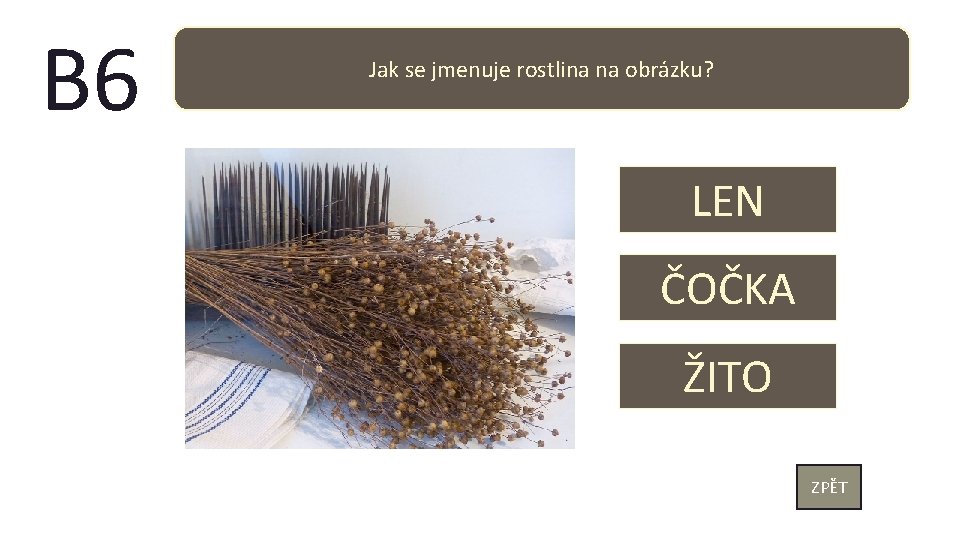 B 6 Jak se jmenuje rostlina na obrázku? LEN ČOČKA ŽITO ZPĚT 