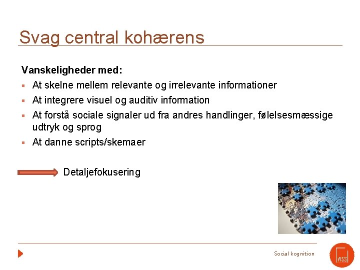 Svag central kohærens Vanskeligheder med: § At skelne mellem relevante og irrelevante informationer §