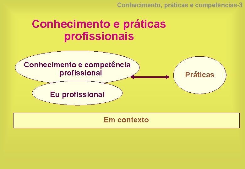Conhecimento, práticas e competências-3 Conhecimento e práticas profissionais Conhecimento e competência profissional Eu profissional