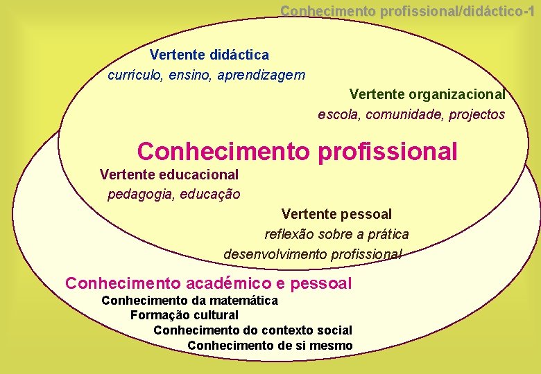 Conhecimento profissional/didáctico-1 Vertente didáctica currículo, ensino, aprendizagem Vertente organizacional escola, comunidade, projectos Conhecimento profissional