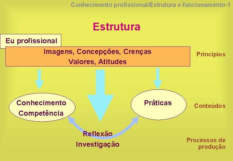 Conhecimento profissional/Estrutura e funcionamento-1 Estrutura Eu profissional Imagens, Concepções, Crenças Valores, Atitudes Conhecimento Competência
