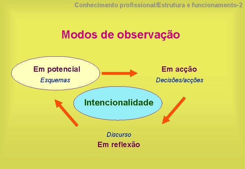 Conhecimento profissional/Estrutura e funcionamento-2 Modos de observação Em potencial Em acção Esquemas Decisões/acções Intencionalidade