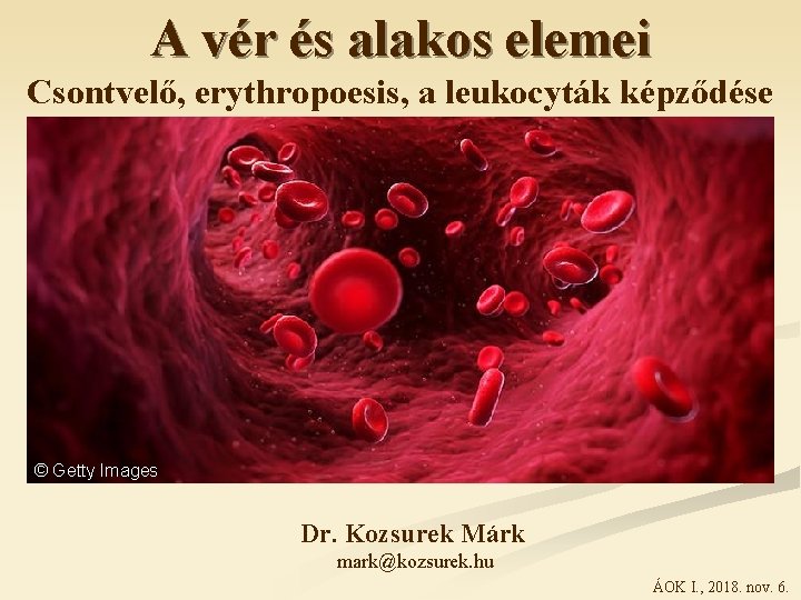 A vér és alakos elemei Csontvelő, erythropoesis, a leukocyták képződése © Getty Images Dr.