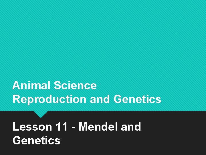 Animal Science Reproduction and Genetics Lesson 11 - Mendel and Genetics Animal Science Reproduction and Genetics Lesson 11 - Mendel and Genetics