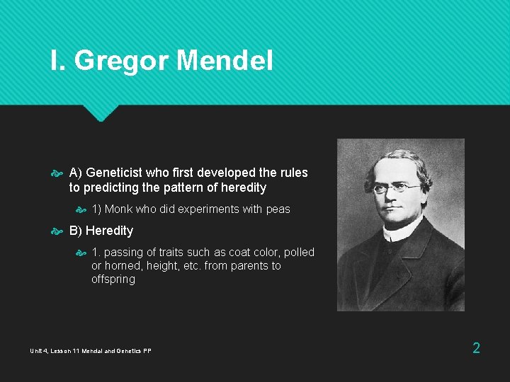 I. Gregor Mendel A) Geneticist who first developed the rules to predicting the pattern I. Gregor Mendel A) Geneticist who first developed the rules to predicting the pattern