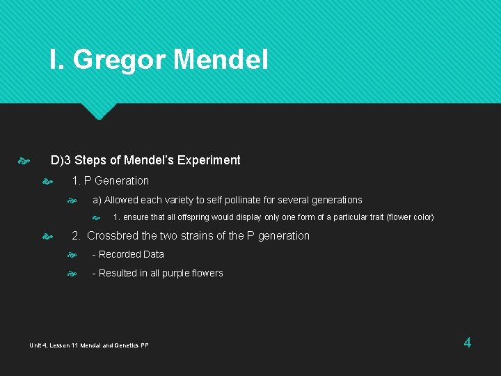 I. Gregor Mendel D)3 Steps of Mendel’s Experiment 1. P Generation a) Allowed each I. Gregor Mendel D)3 Steps of Mendel’s Experiment 1. P Generation a) Allowed each