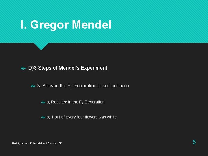 I. Gregor Mendel D)3 Steps of Mendel’s Experiment 3. Allowed the F 1 Generation I. Gregor Mendel D)3 Steps of Mendel’s Experiment 3. Allowed the F 1 Generation