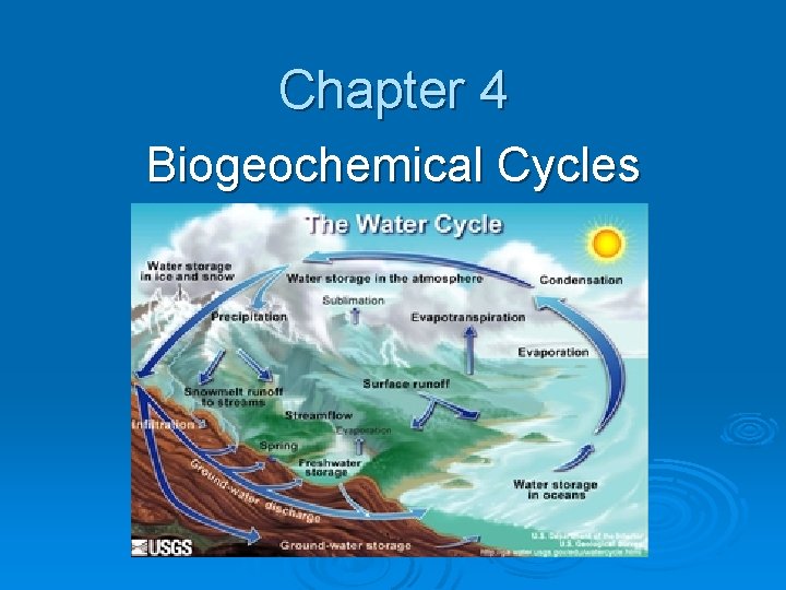Chapter 4 Biogeochemical Cycles 