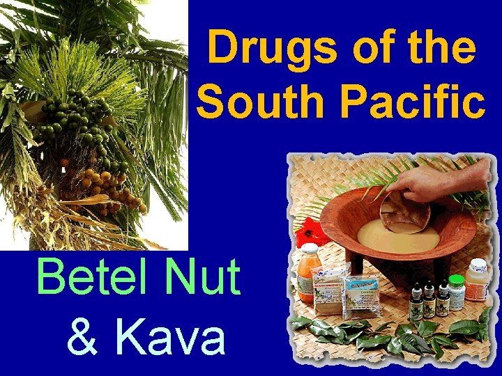 Drugs of the South Pacific Betel Nut & Kava 