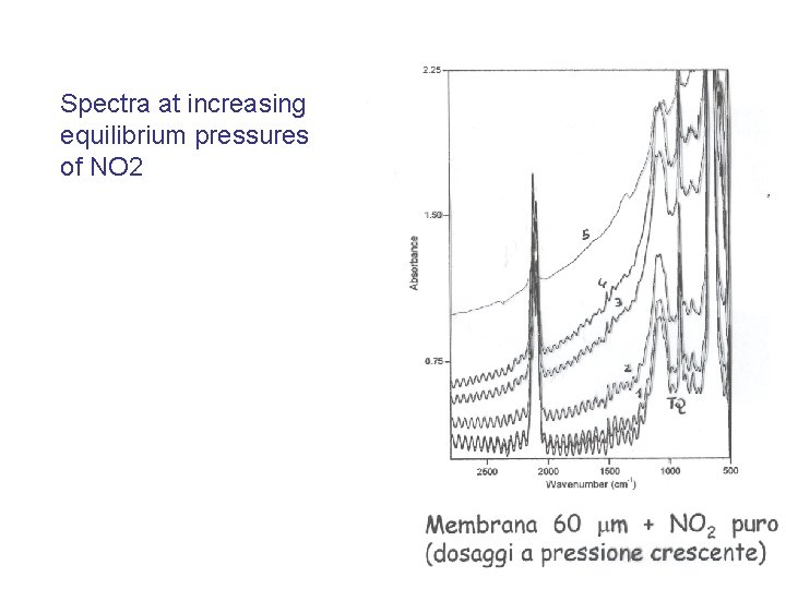 Spectra at increasing equilibrium pressures of NO 2 