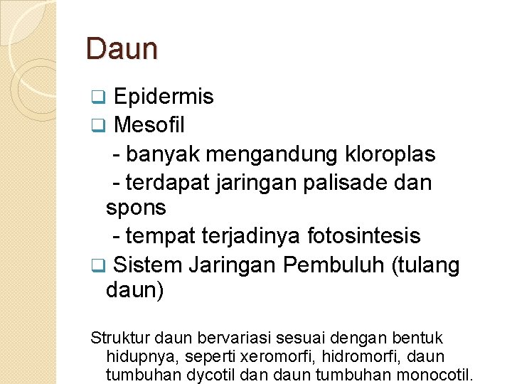 Daun Epidermis q Mesofil - banyak mengandung kloroplas - terdapat jaringan palisade dan spons