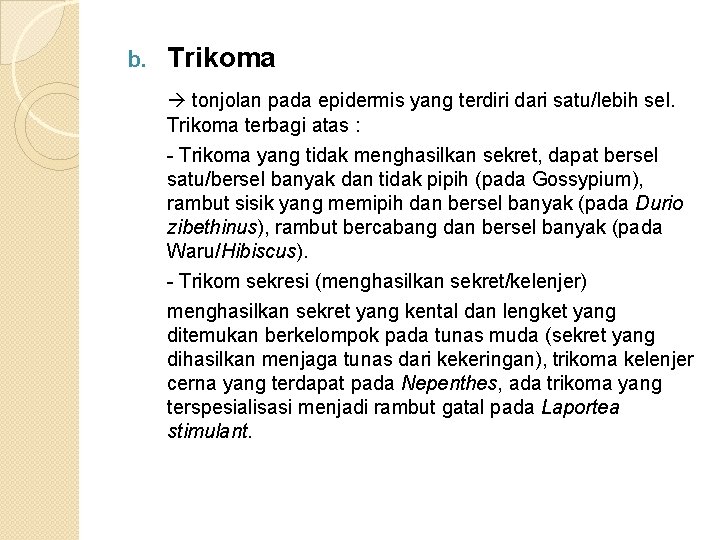 b. Trikoma tonjolan pada epidermis yang terdiri dari satu/lebih sel. Trikoma terbagi atas :