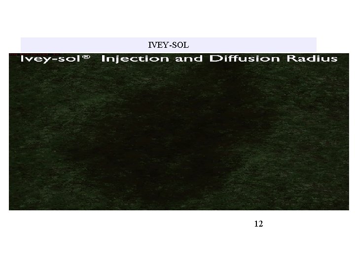IVEY-SOL 12 IVEY-SOL 12