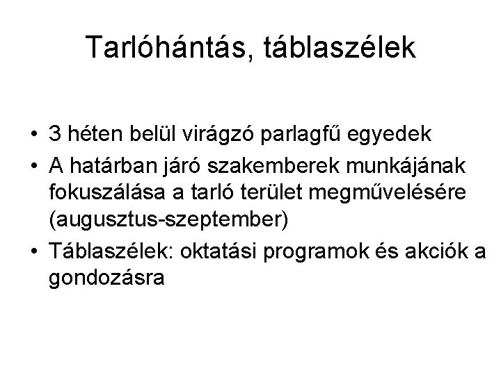 Tarlóhántás, táblaszélek • 3 héten belül virágzó parlagfű egyedek • A határban járó szakemberek