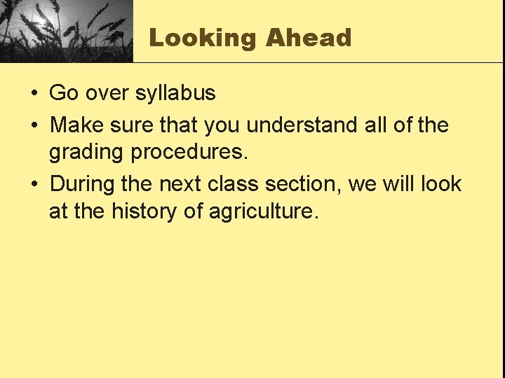 Looking Ahead • Go over syllabus • Make sure that you understand all of