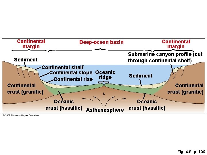 Continental margin Deep-ocean basin Submarine canyon profile (cut through continental shelf) Sediment Continental shelf